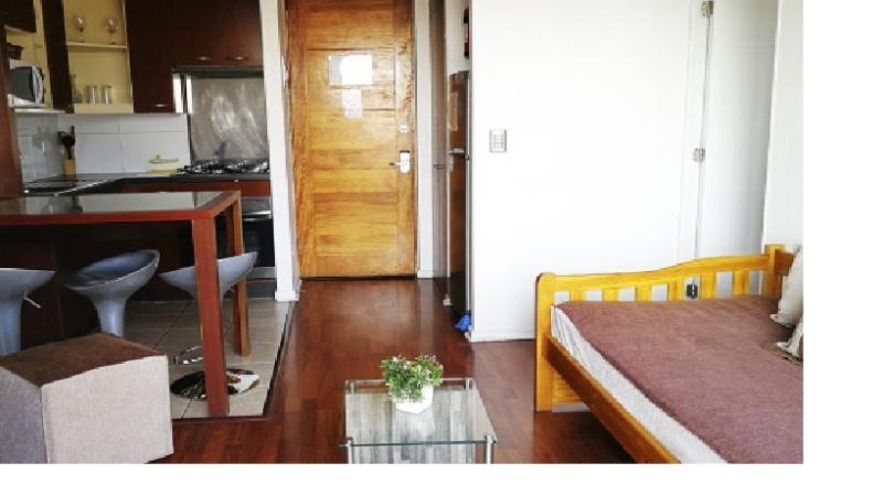 Amistar Apartments Santiago de Chile Zewnętrze zdjęcie