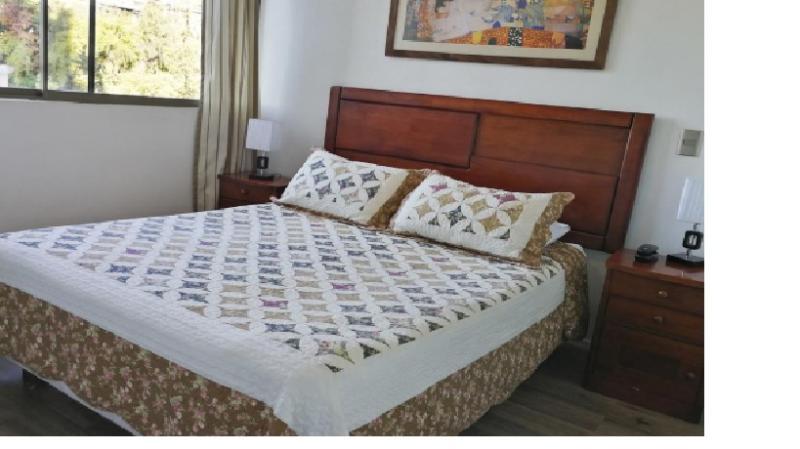 Amistar Apartments Santiago de Chile Zewnętrze zdjęcie